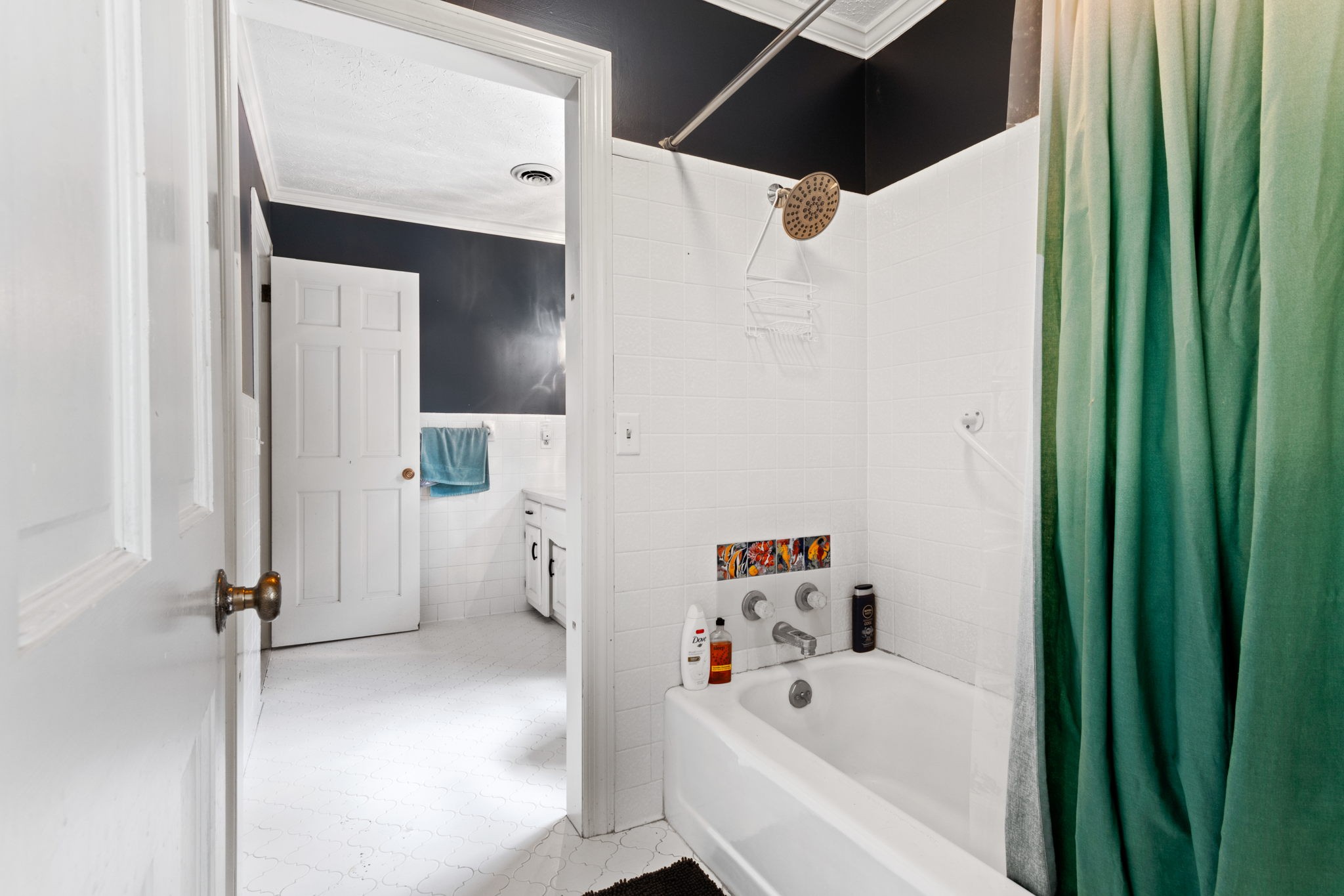 102 3rd Avenue East Springfield, TN 37172 - Photo 47 of 65