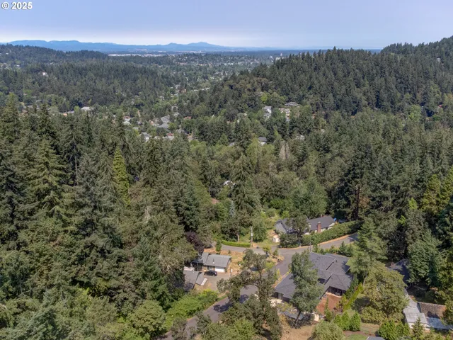 a view of a city with lush green forest