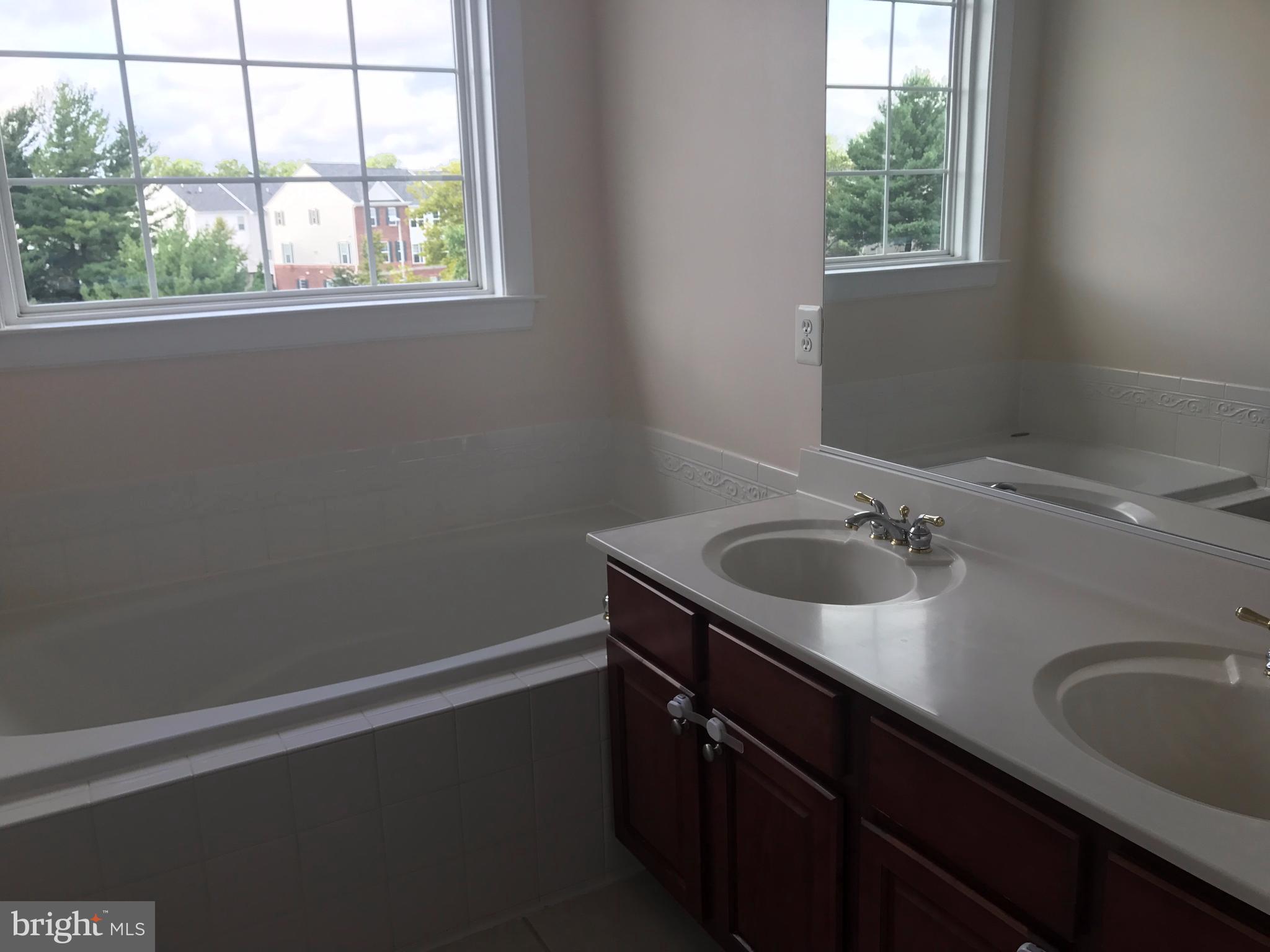 3350 Castle Ridge Circle, Unit 1 Silver Spring, MD 20904 - Photo 20 of 43 Bath (Master)