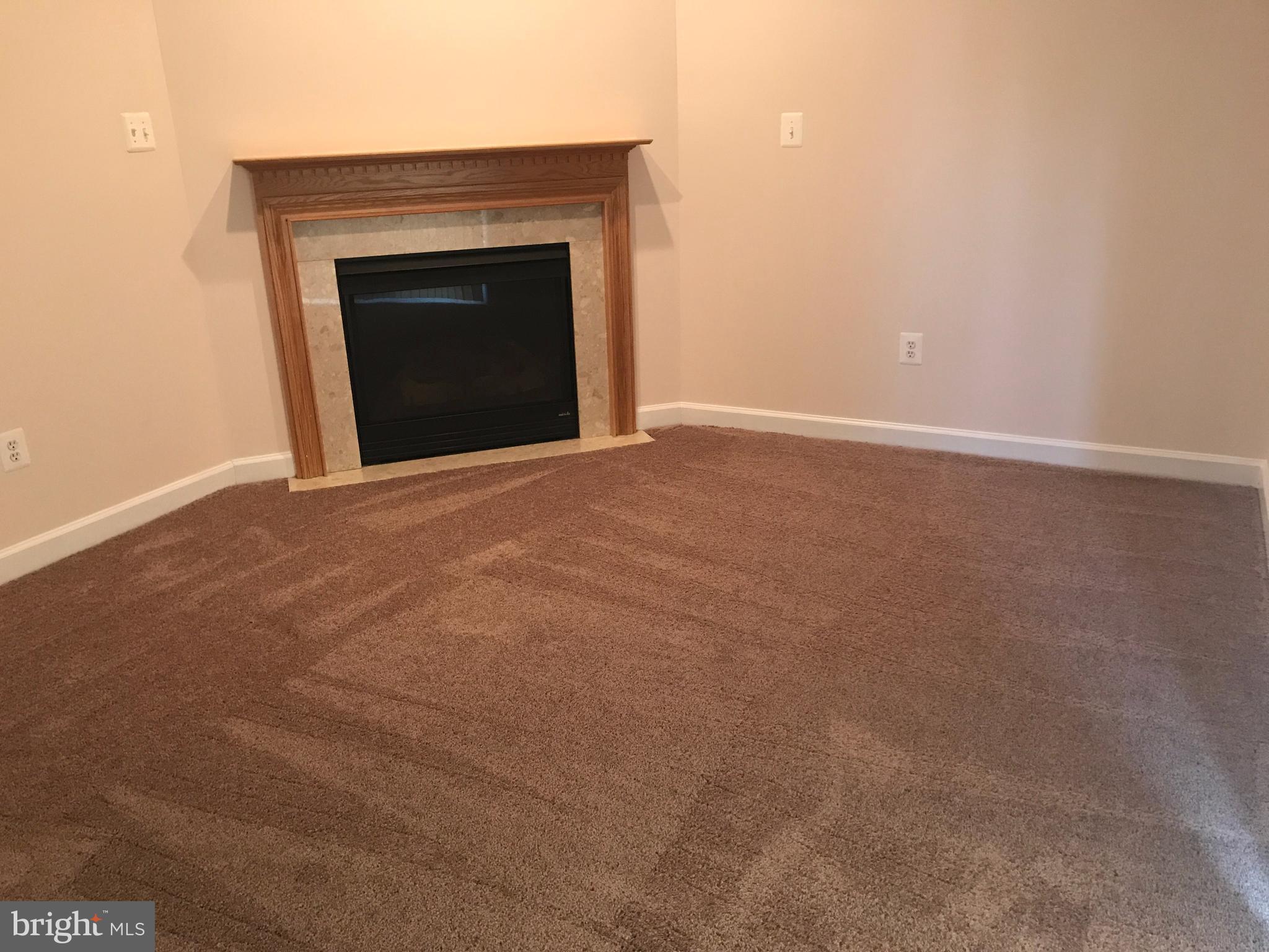 3350 Castle Ridge Circle, Unit 1 Silver Spring, MD 20904 - Photo 6 of 43 Basement