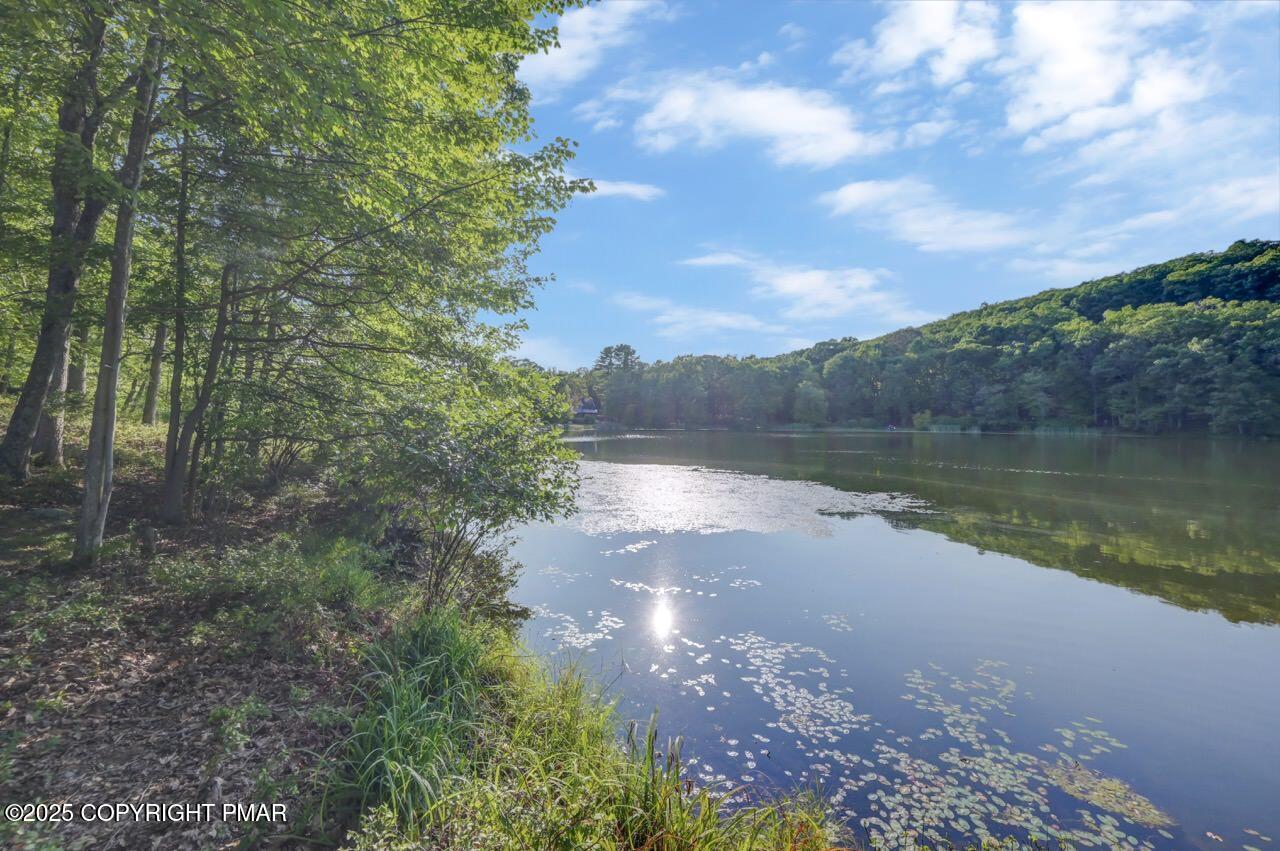 3305 Windemere Drive Bushkill, PA 18324 - Photo 54 of 56 a view of a lake from a yard