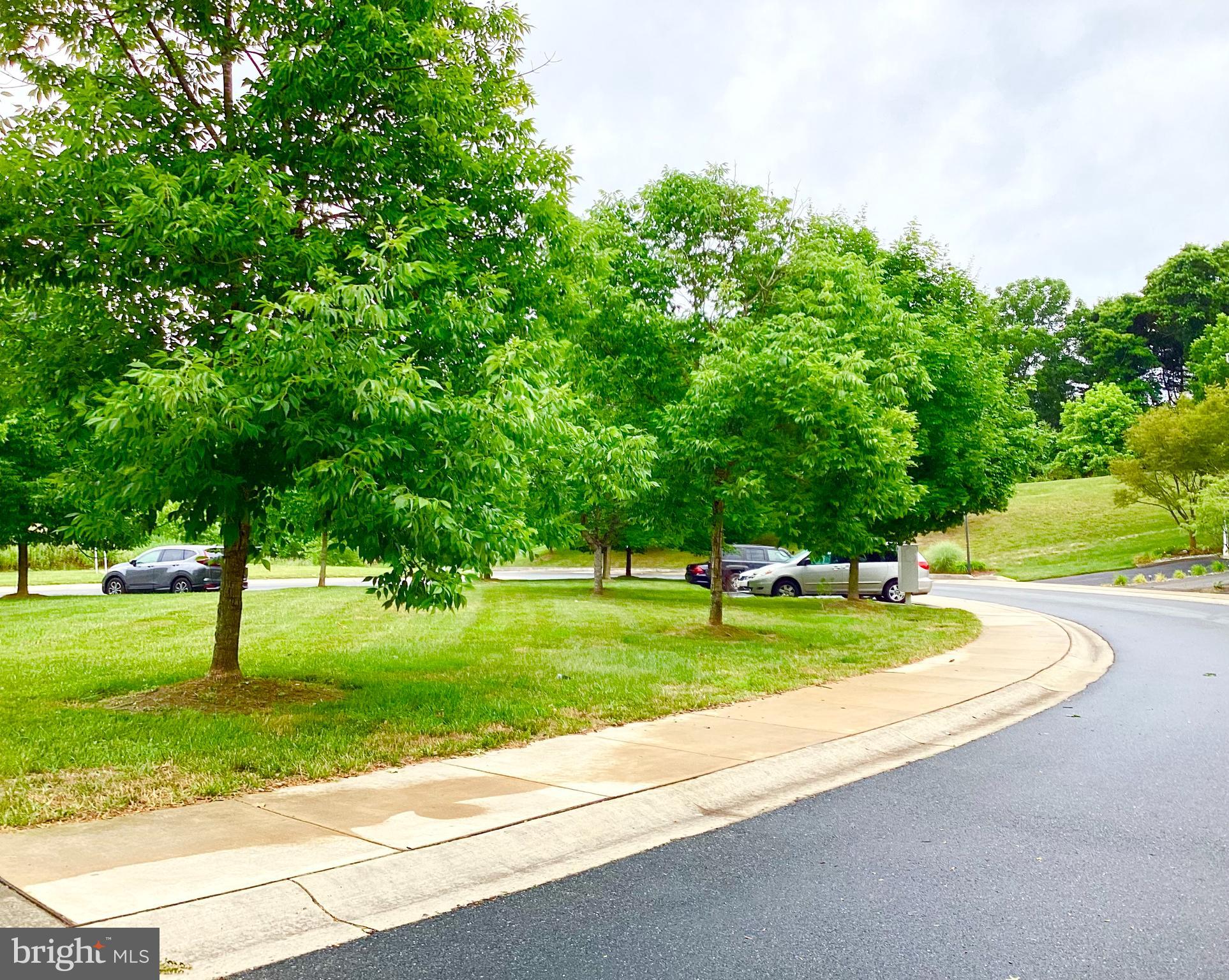 140 Pumpkin Patch Lane Hockessin, DE 19707 - Photo 24 of 25 a view of a house with a yard and a street