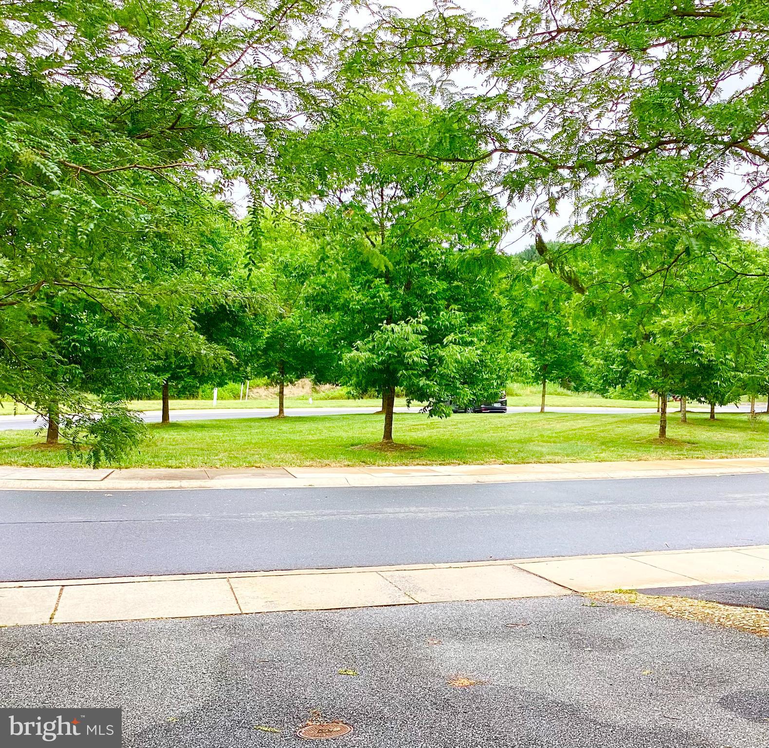 140 Pumpkin Patch Lane Hockessin, DE 19707 - Photo 25 of 25 a view of a park with large trees