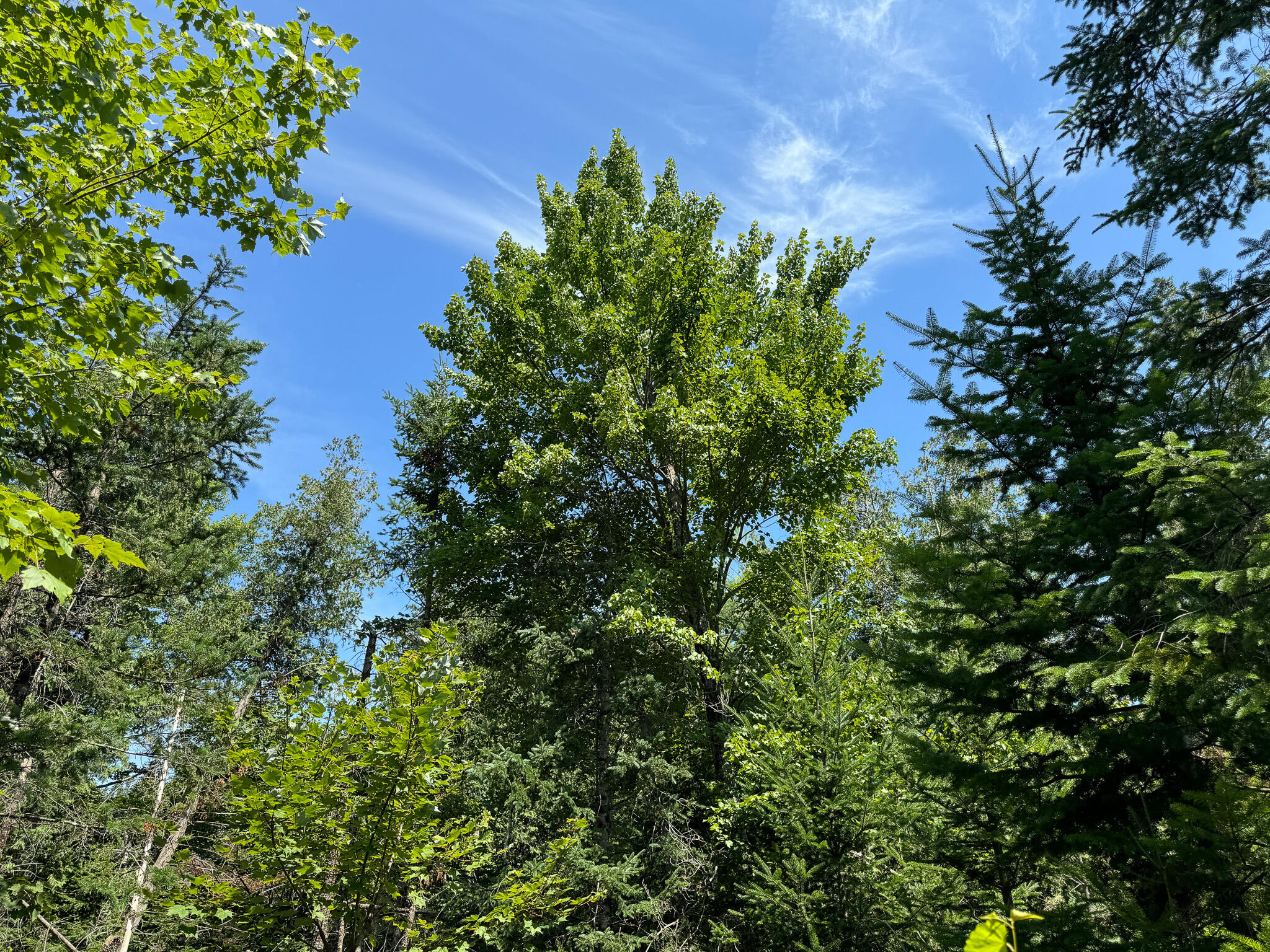 M9-l20-1 Valley Road Etna, ME 04434 - Photo 25 of 33