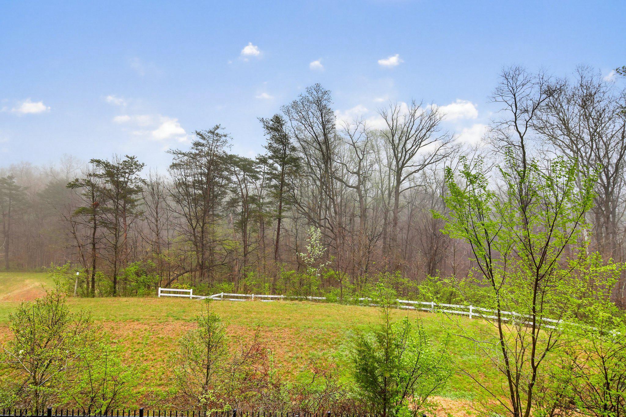 3819 Cullingworth Road Burtonsville, MD 20866 - Photo 17 of 50 a view of an outdoor space and swimming pool