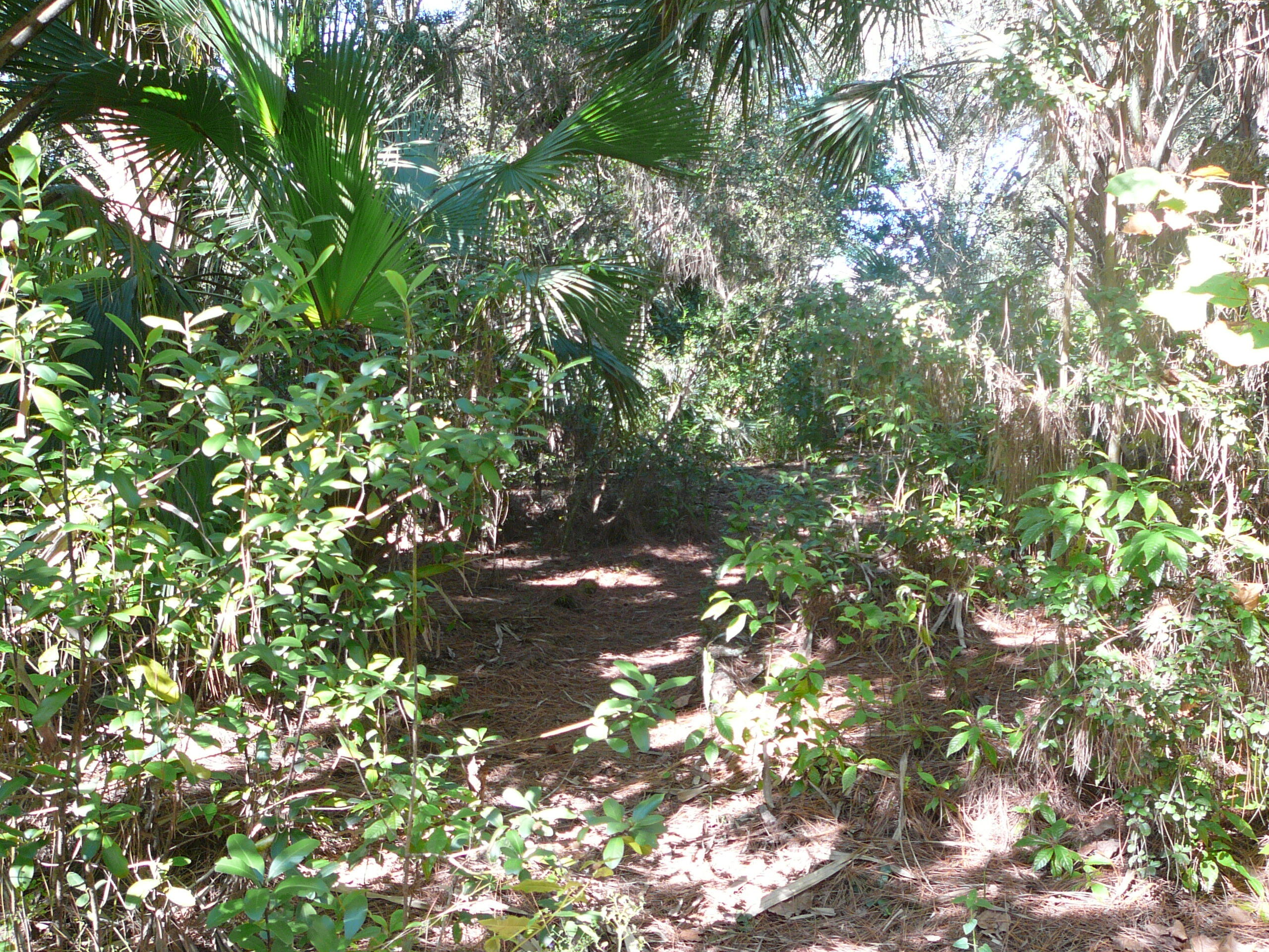 9533 West Angle Road Fort Pierce, FL 34947 - Photo 21 of 49 P1100039