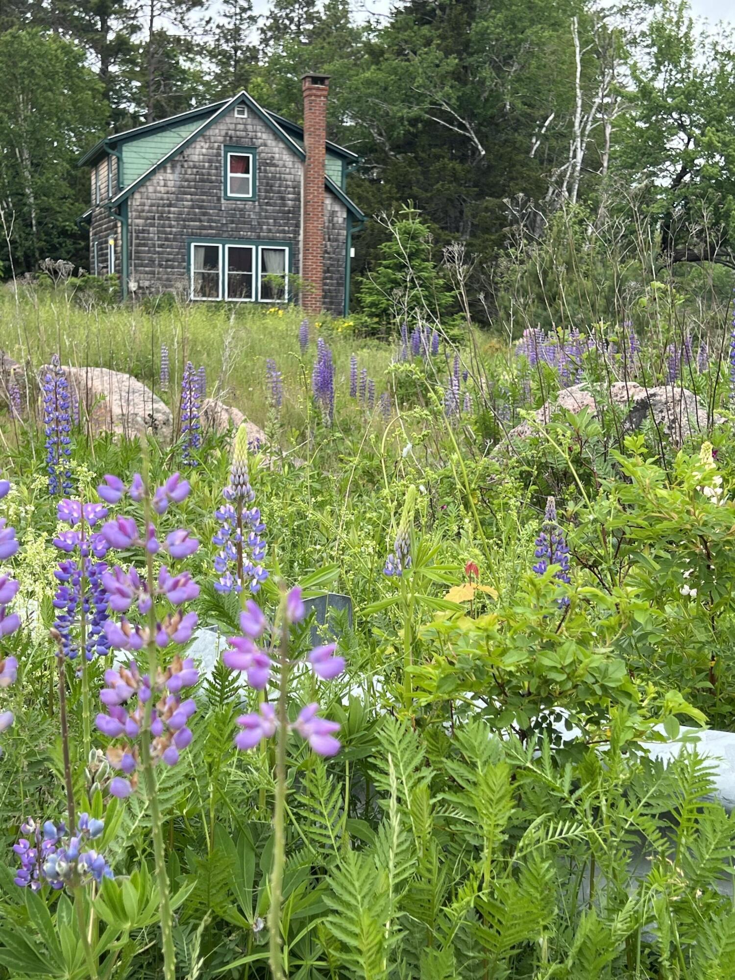 7 Mt Tom Road Pembroke, ME 04666 - Photo 25 of 41 IMG_9695