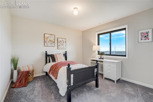 3405 Spaatz Road Monument, CO 80132 - Photo 28 of 47 View of carpeted bedroom
