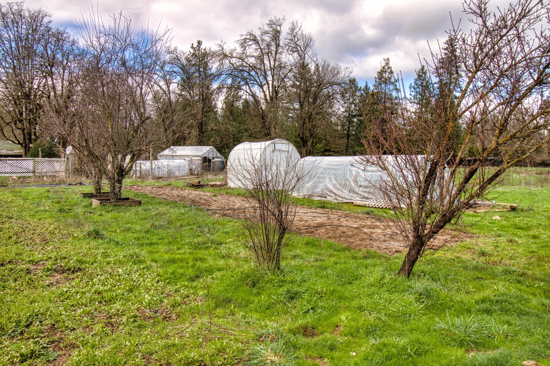 4767 Holland Loop Road Cave Junction, OR 97523 - Photo 28 of 29 Grounds