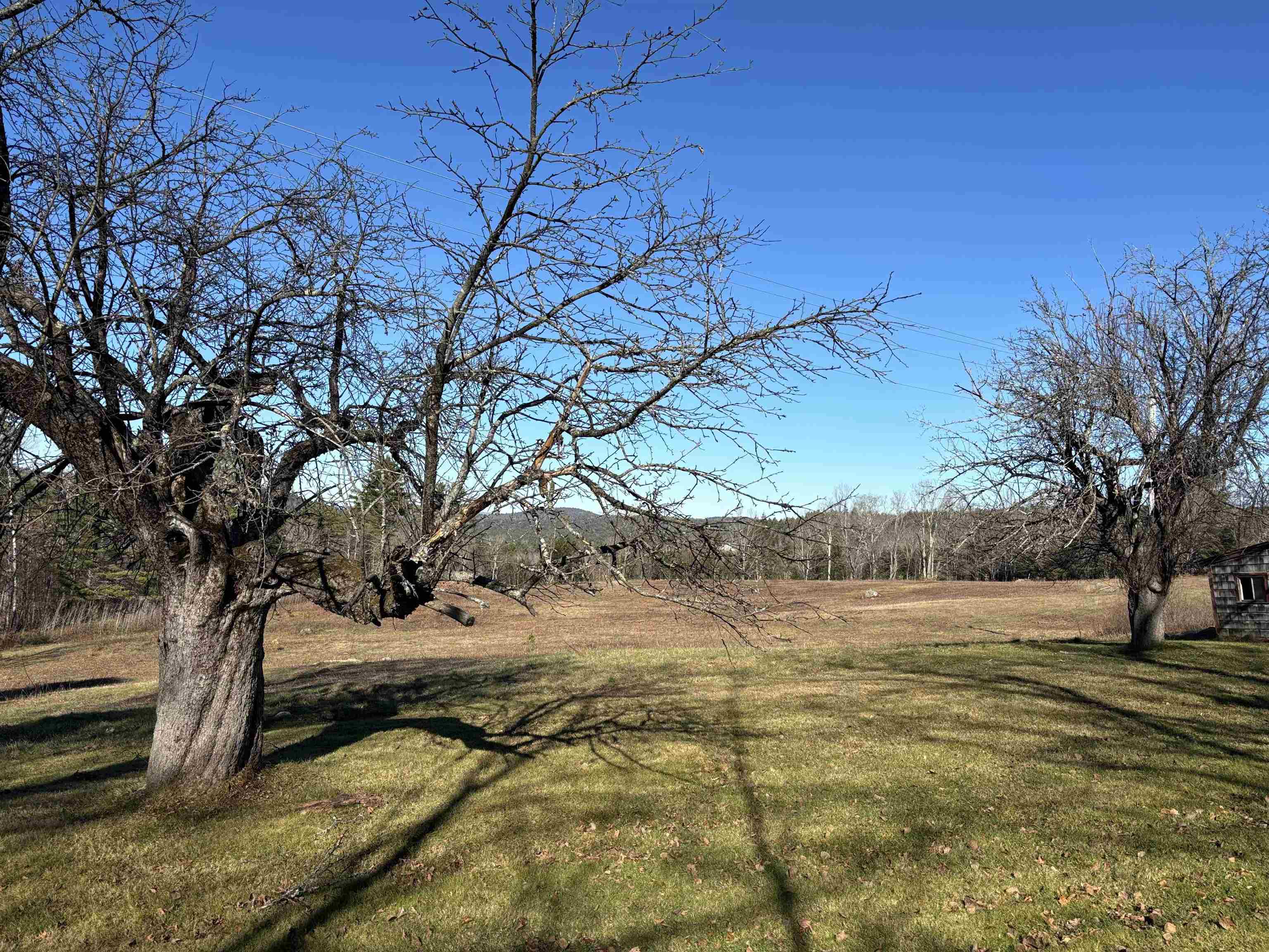 Lot 11-4 Ball Park Road Goshen, NH 03752 - Photo 11 of 12