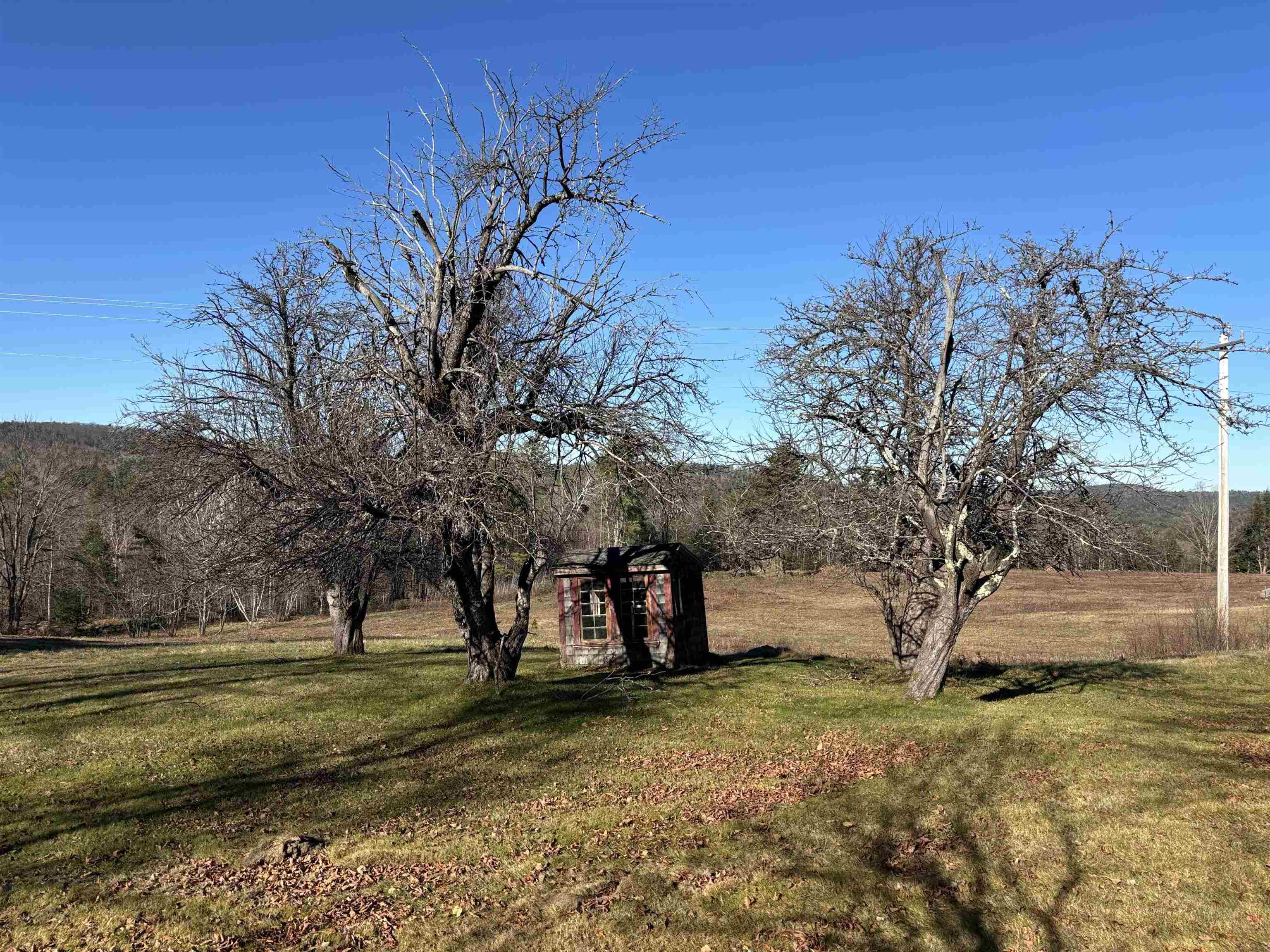 Lot 11-4 Ball Park Road Goshen, NH 03752 - Photo 4 of 12