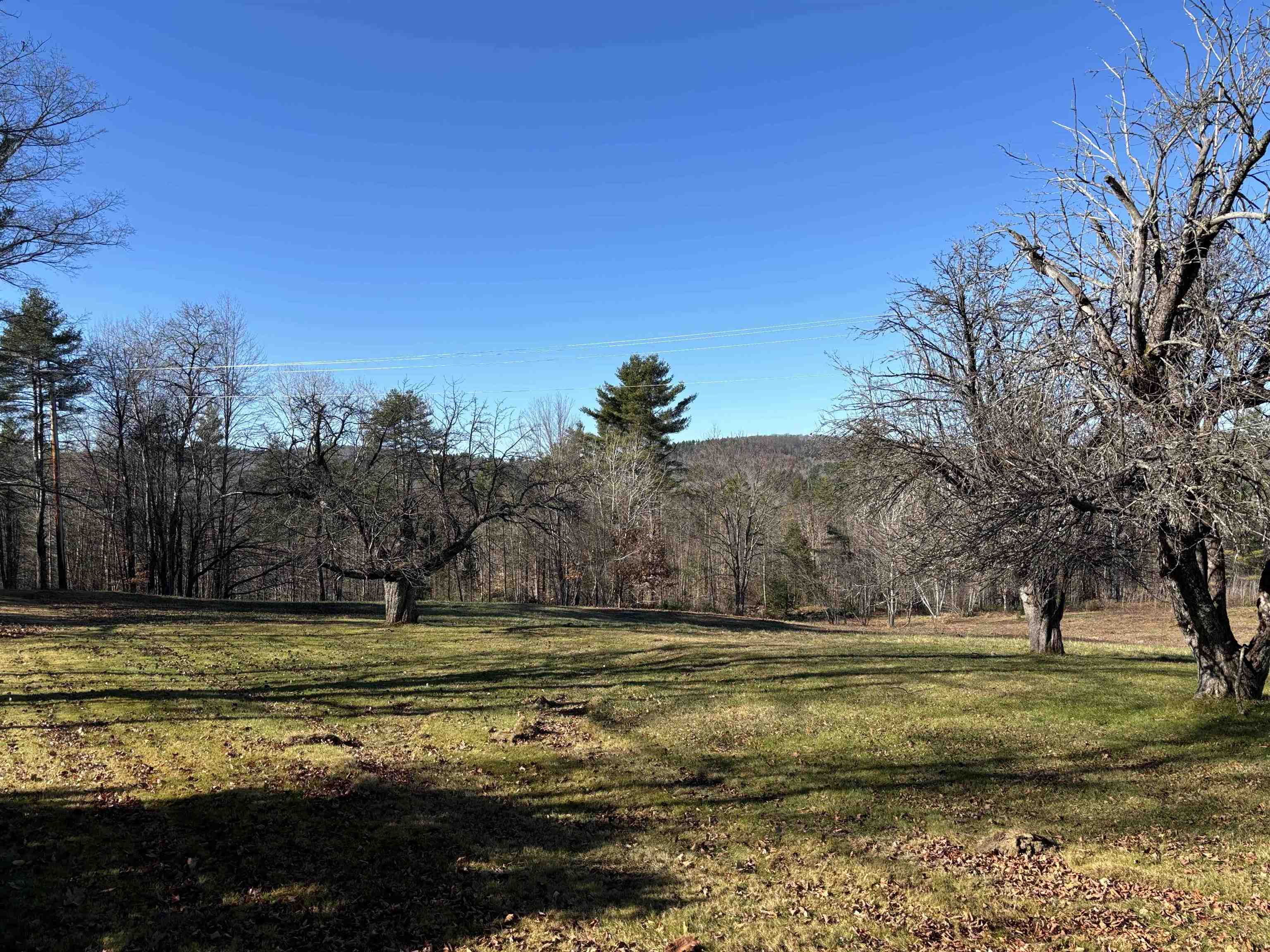 Lot 11-4 Ball Park Road Goshen, NH 03752 - Photo 5 of 12