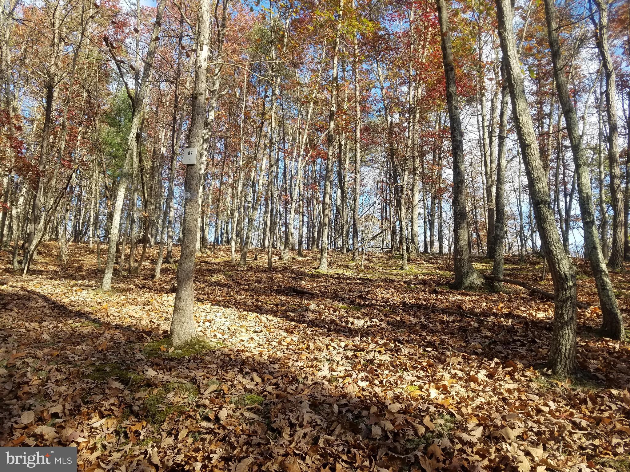 Church Hollow Road Romney, WV 26757 - Photo 11 of 20