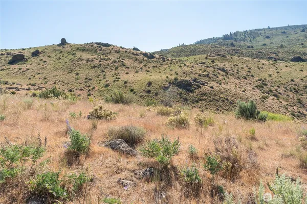 a view of a dry yard
