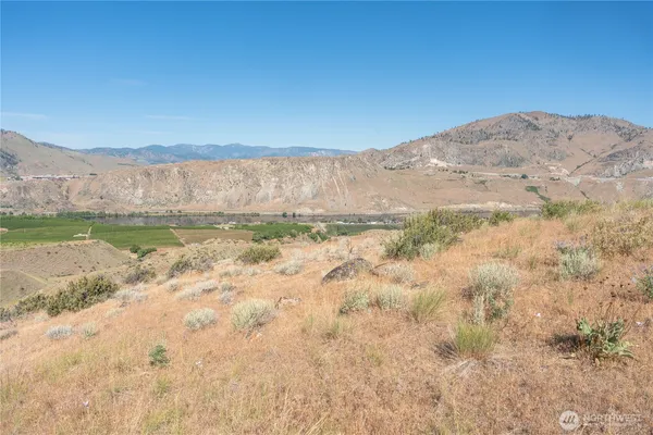 a view of back yard of the road