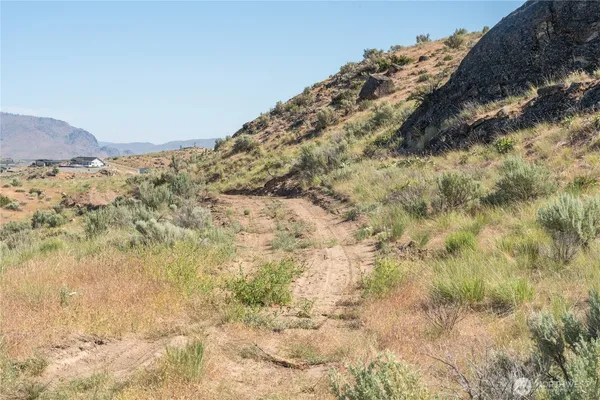 a view of a dry field with mountains in the background