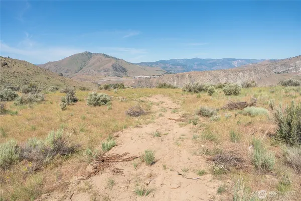 a view of a dry field with trees in the background