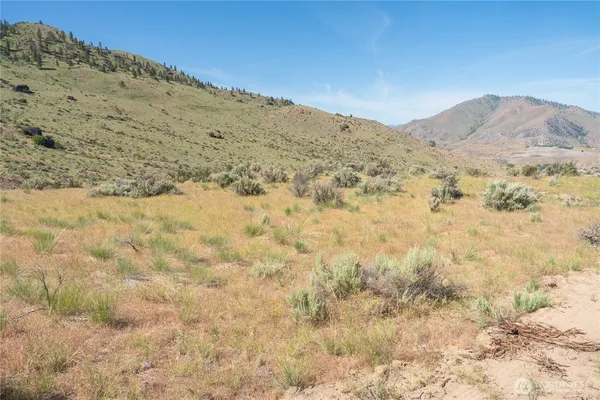 a view of a dry field with mountains in the background