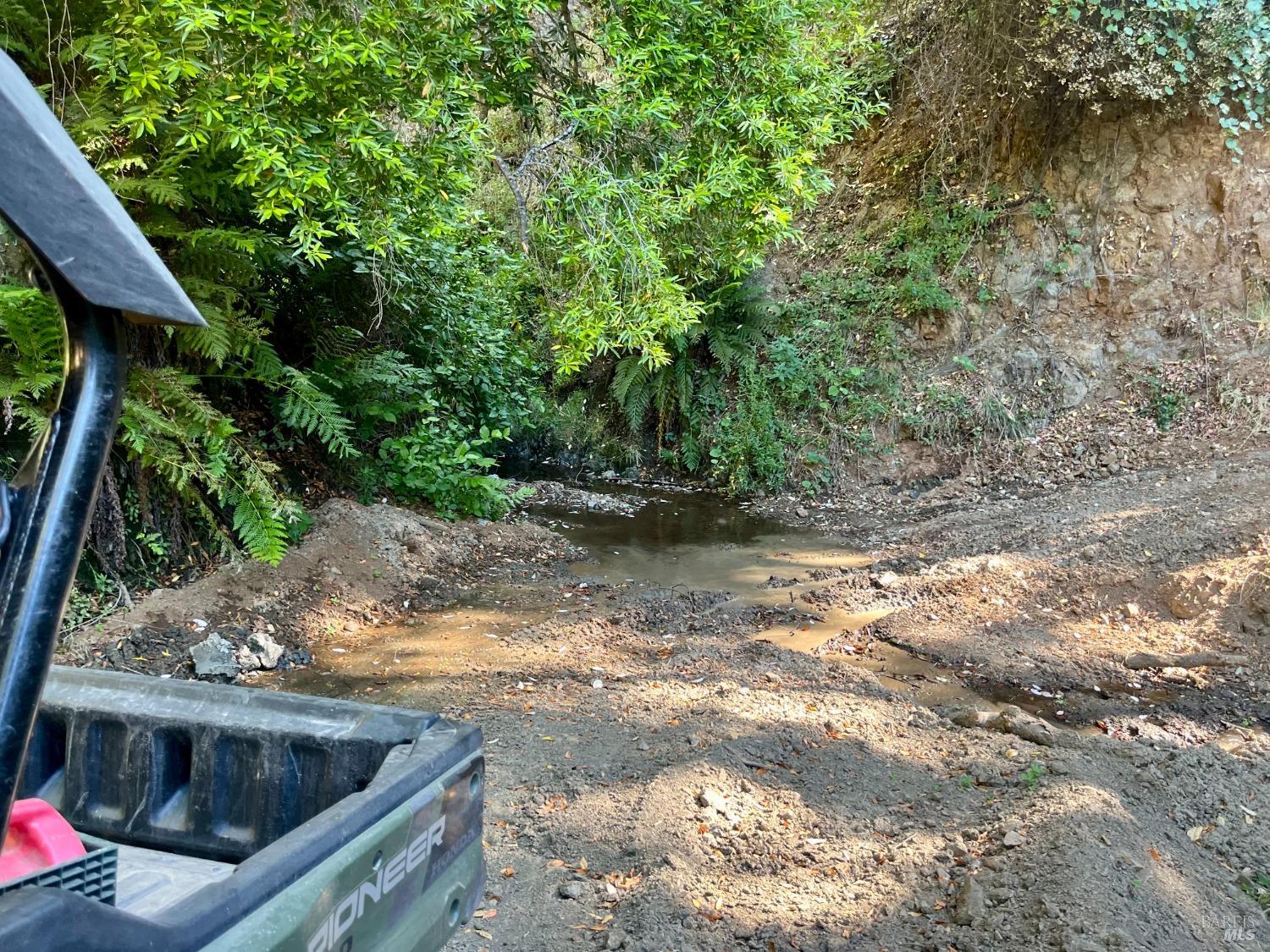 9007-9027 Stewarts Point-Skaggs Springs Road Healdsburg, CA 95448 - Photo 11 of 23 a view of a yard with plants