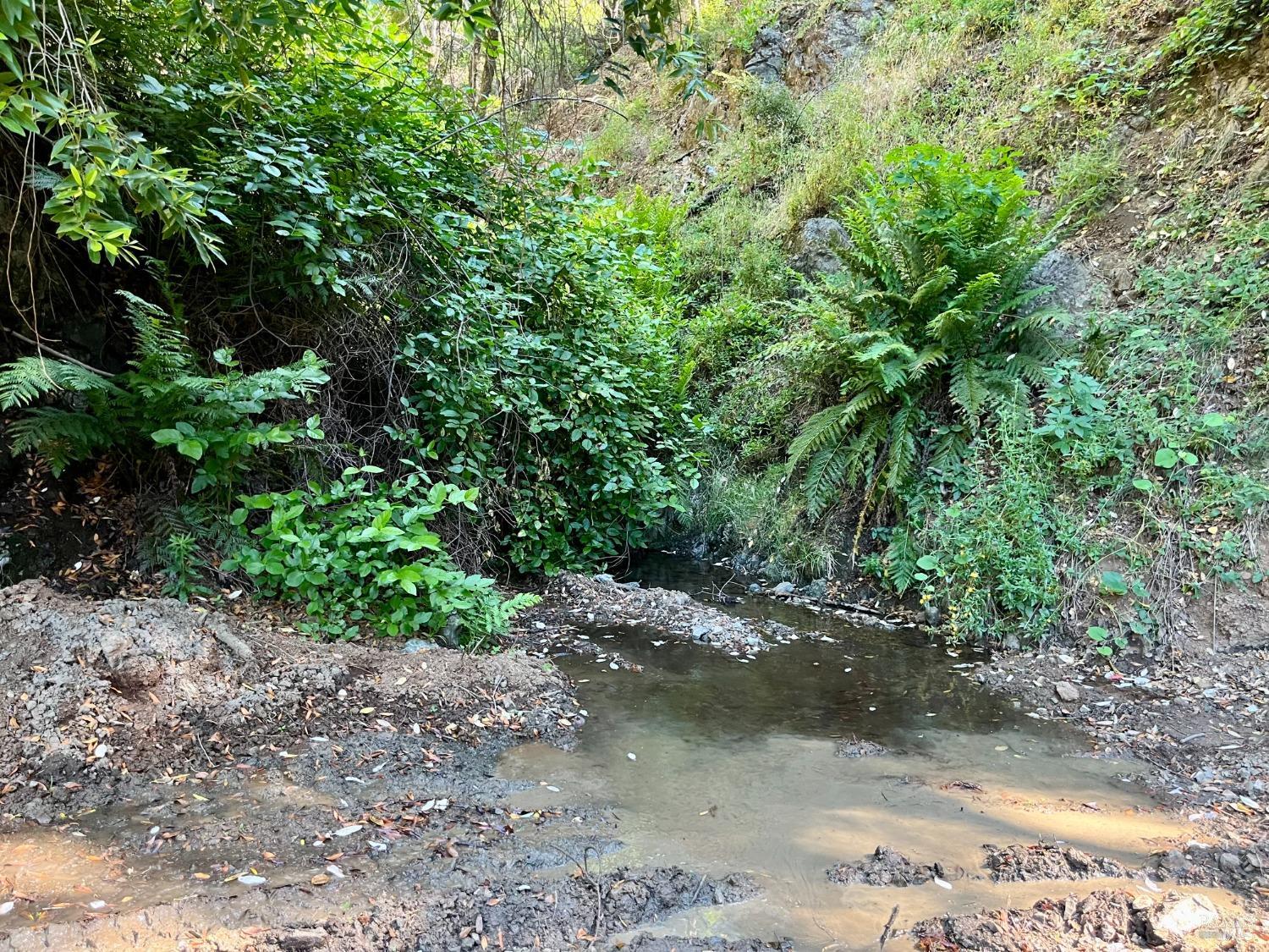 9007-9027 Stewarts Point-Skaggs Springs Road Healdsburg, CA 95448 - Photo 13 of 23 a view of a dirt pathway and a pathway
