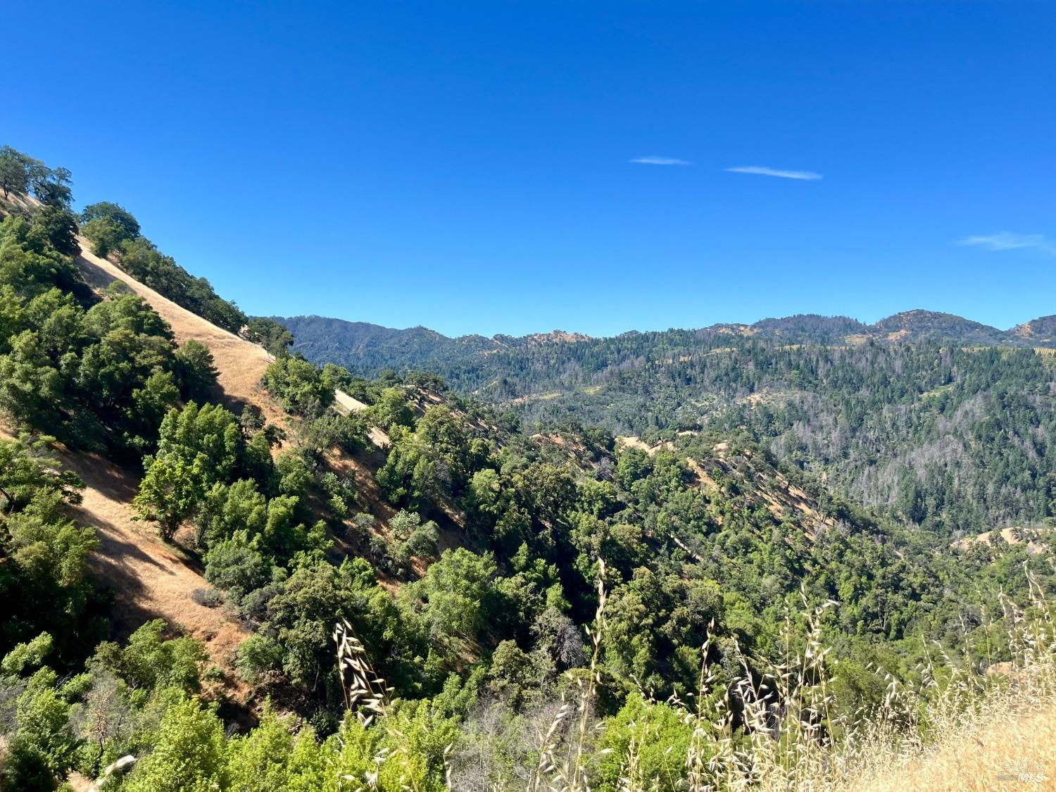 9007-9027 Stewarts Point-Skaggs Springs Road Healdsburg, CA 95448 - Photo 14 of 23 a view of a mountain range with trees in the background