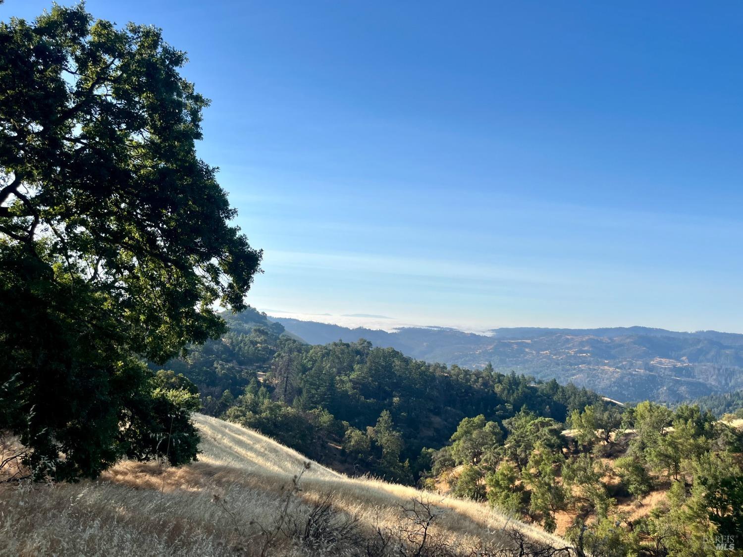 9007-9027 Stewarts Point-Skaggs Springs Road Healdsburg, CA 95448 - Photo 3 of 23 a view of a forest with mountains in the background
