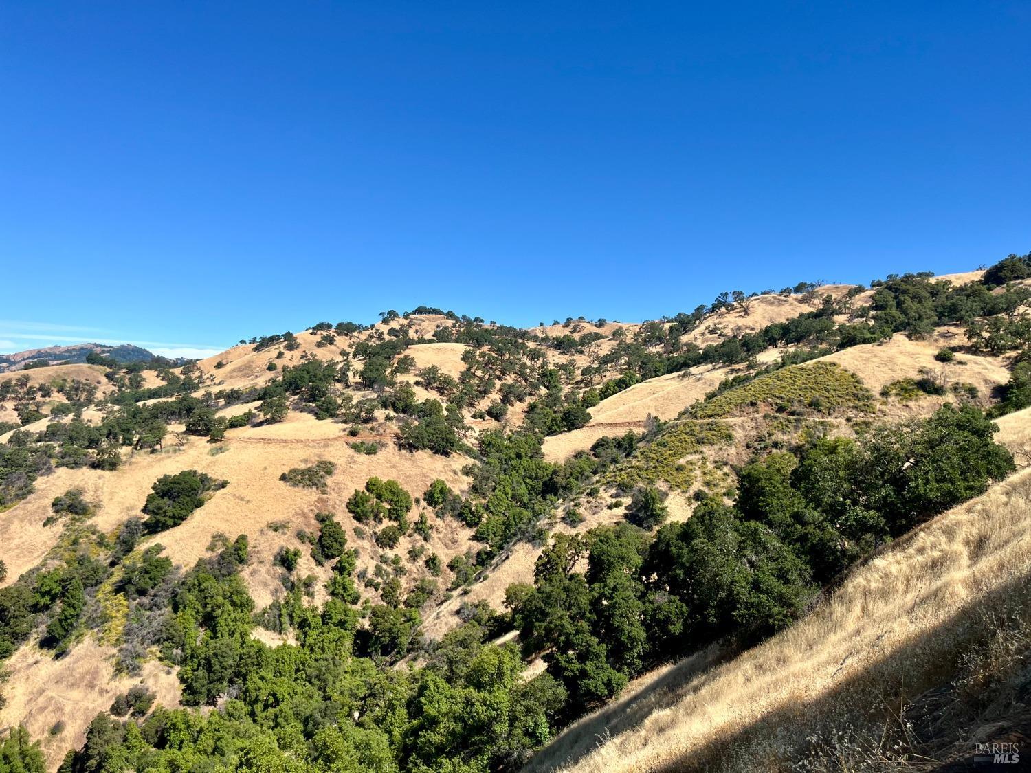 9007-9027 Stewarts Point-Skaggs Springs Road Healdsburg, CA 95448 - Photo 4 of 23 a view of a field
