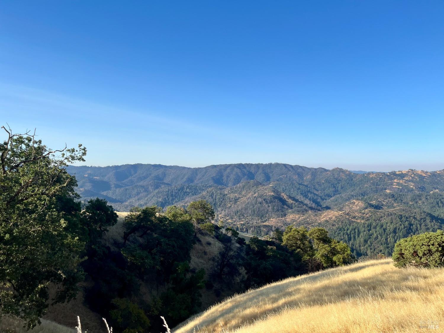 9007-9027 Stewarts Point-Skaggs Springs Road Healdsburg, CA 95448 - Photo 6 of 23 a view of a houses with a yard