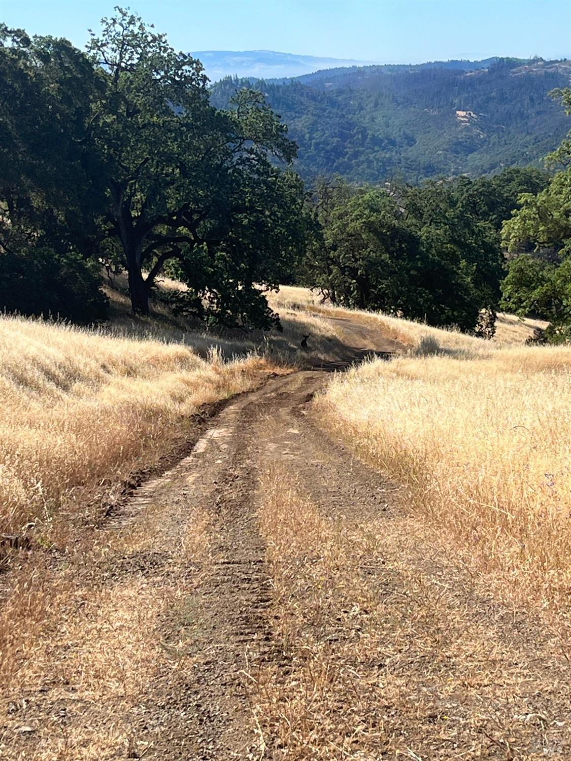 9007-9027 Stewarts Point-Skaggs Springs Road Healdsburg, CA 95448 - Photo 8 of 23 a view of outdoor space and city view
