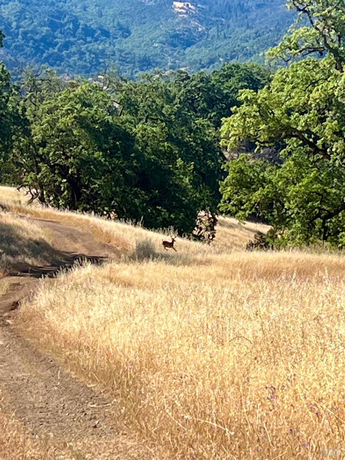 9007-9027 Stewarts Point-Skaggs Springs Road Healdsburg, CA 95448 - Photo 9 of 23 a view of ocean view