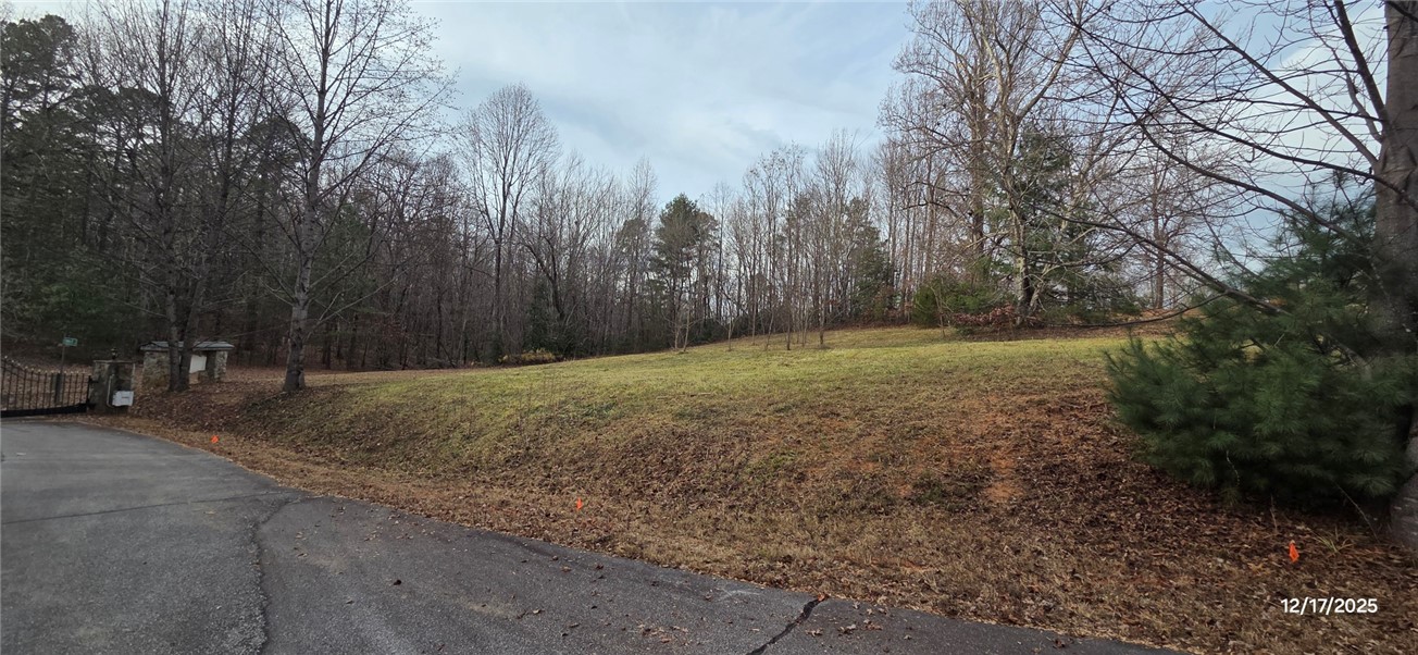 1 Lenore B Lane Mountain Rest, SC 29664 - Photo 21 of 30