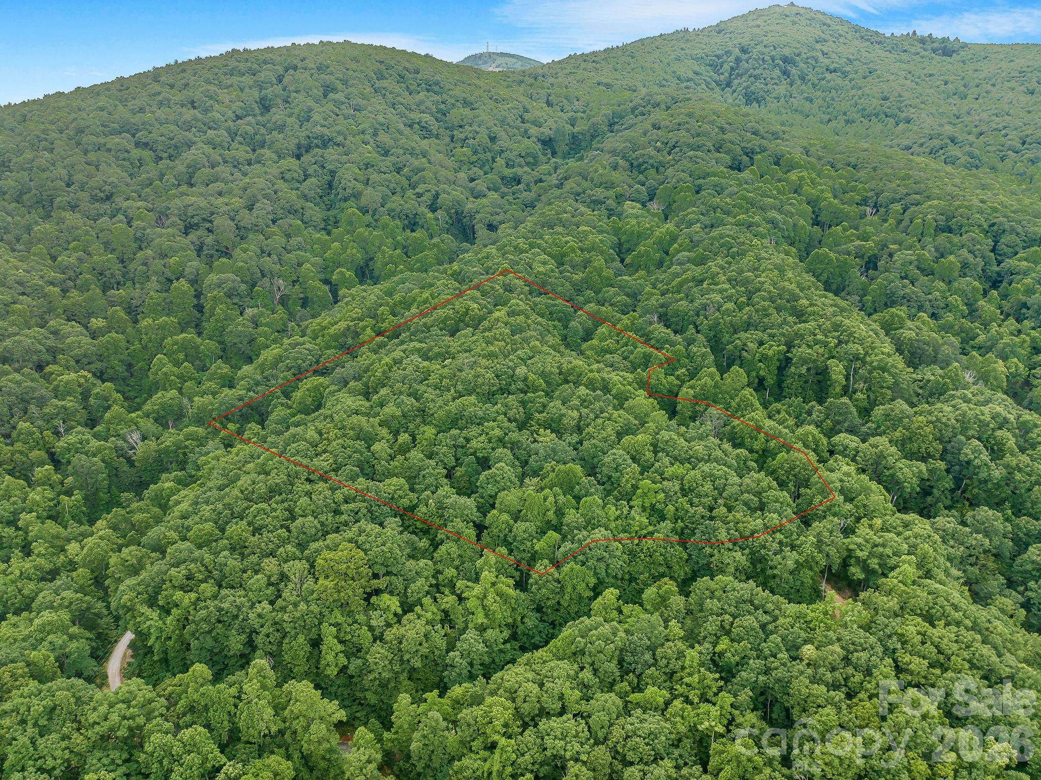 8 Carls Cove Road Hendersonville, NC 28792 - Photo 2 of 25