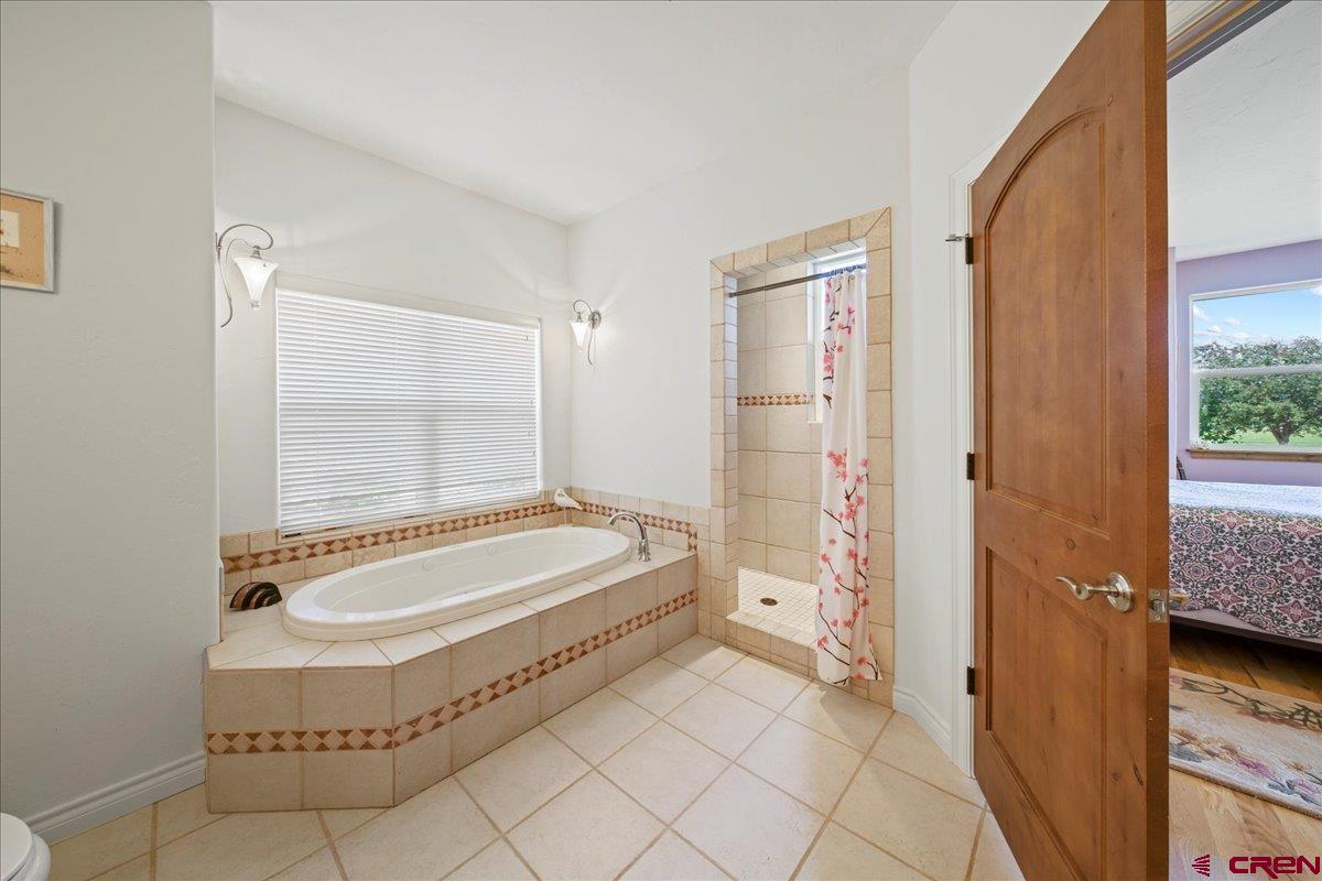 13902 5950th Road Montrose, CO 81403 - Photo 16 of 35 a bathroom with a tub a mirror and a shower