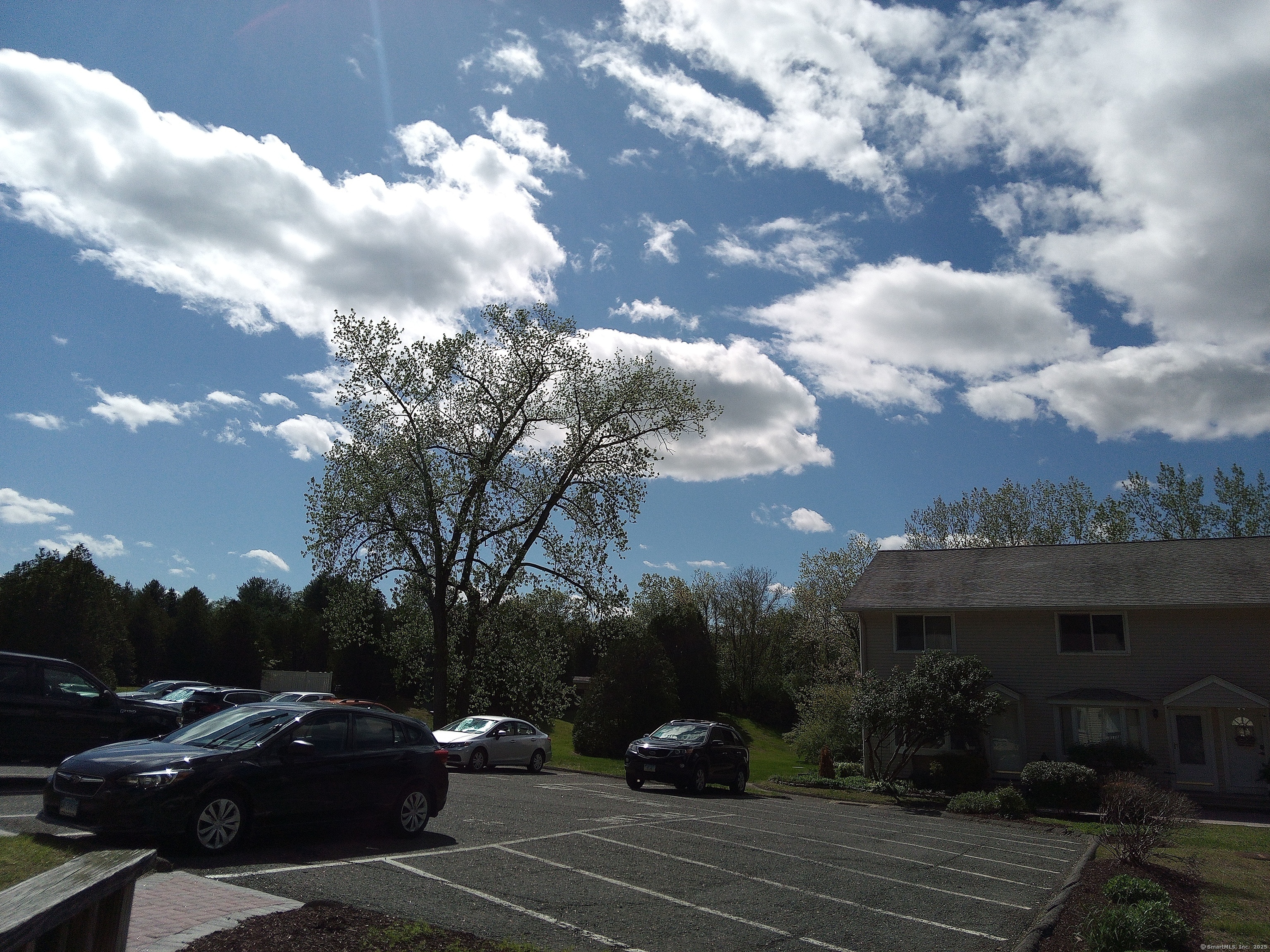 74 Washington Road, Unit 16 Woodbury, CT 06798 - Photo 2 of 25 a view of street with parked cars