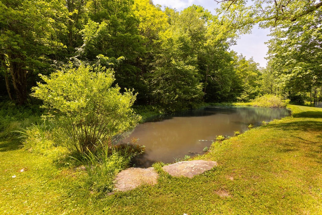 1832 River Road Downsville, NY 13755 - Photo 36 of 50