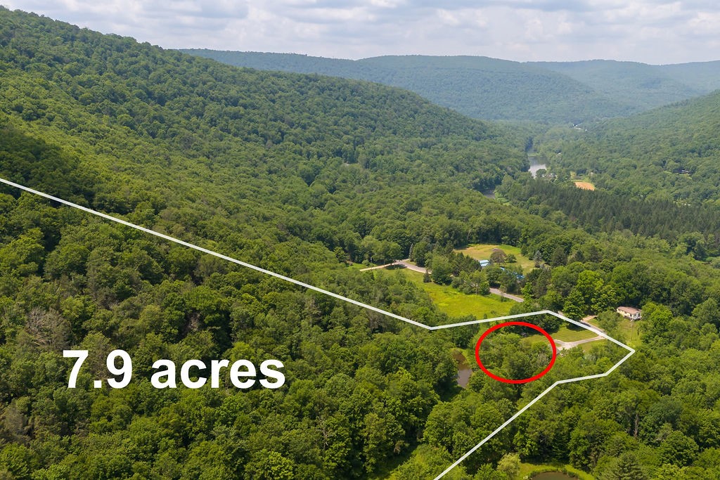 1832 River Road Downsville, NY 13755 - Photo 42 of 50