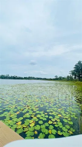 $4,500 | 13106 Orange Isle Drive, Windermere, FL 34786