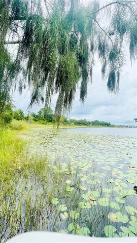 $4,500 | 13106 Orange Isle Drive, Windermere, FL 34786