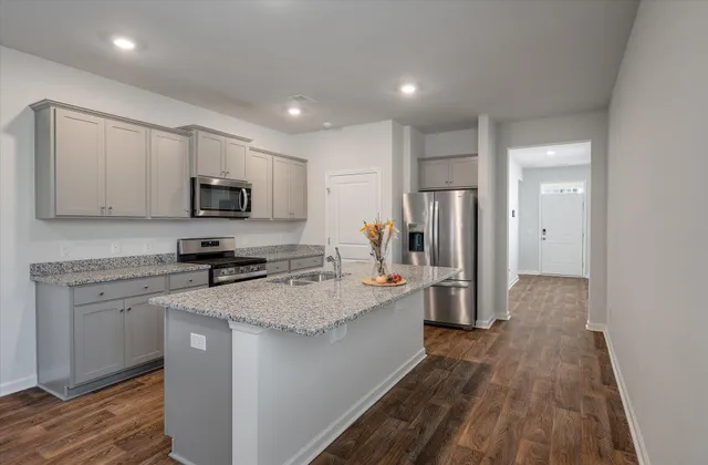 $335,000 | 236 Sweet Cherry Lane, Summerville, SC 29486