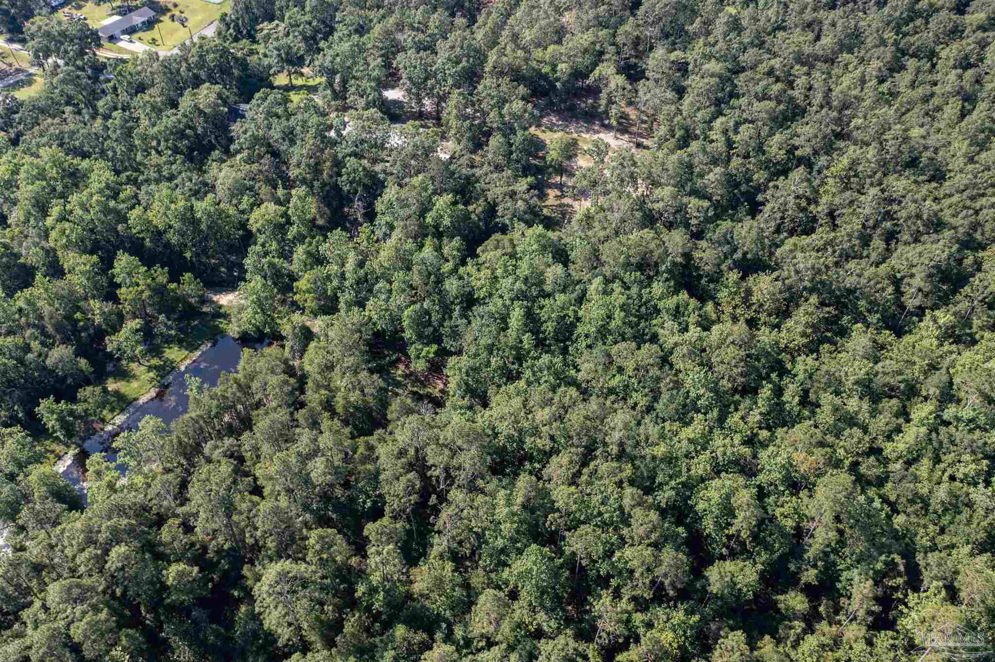 2385 Handy Road Cantonment, FL 32533 - Photo 4 of 34 Gallery Image 4