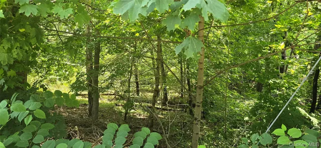 $300,000 | Vl Yaphank-middle Island Road, Yaphank, NY 11980