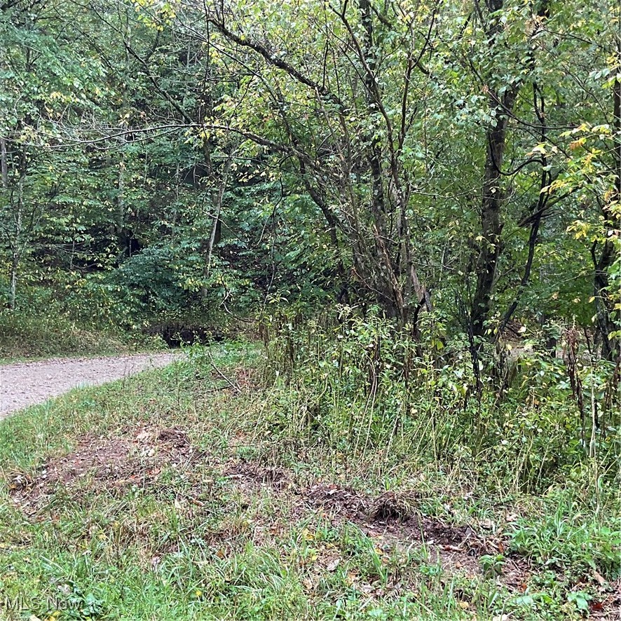 2105 Cicerone Road Walton, WV 25286 - Photo 13 of 23
