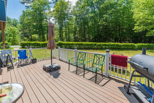 a view of a backyard with potted plants and large trees