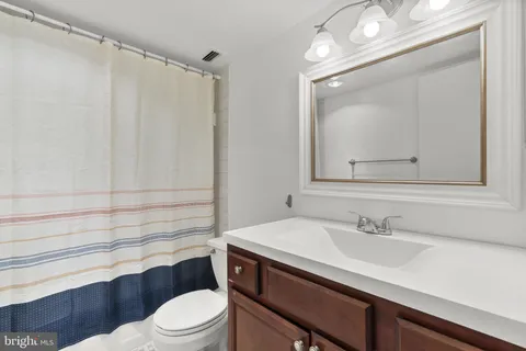 a bathroom with a sink a toilet a mirror and shower curtain