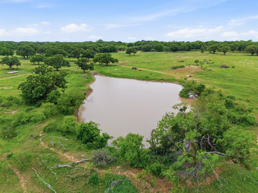 225 County Road 225 Rising Star, TX 76471 - Photo 13 of 36