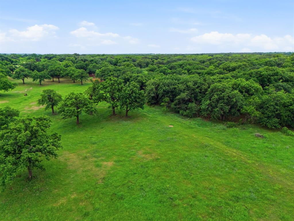 225 County Road 225 Rising Star, TX 76471 - Photo 17 of 36