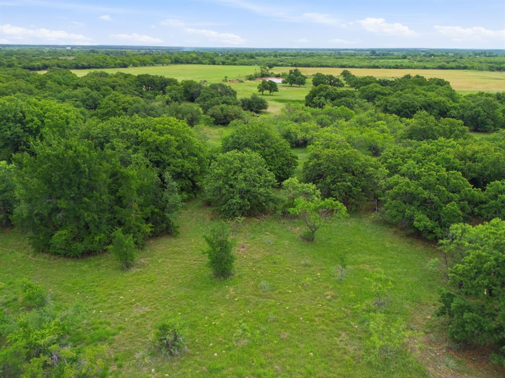 225 County Road 225 Rising Star, TX 76471 - Photo 21 of 36