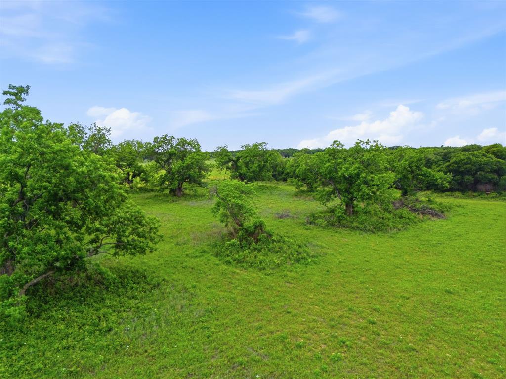225 County Road 225 Rising Star, TX 76471 - Photo 9 of 36