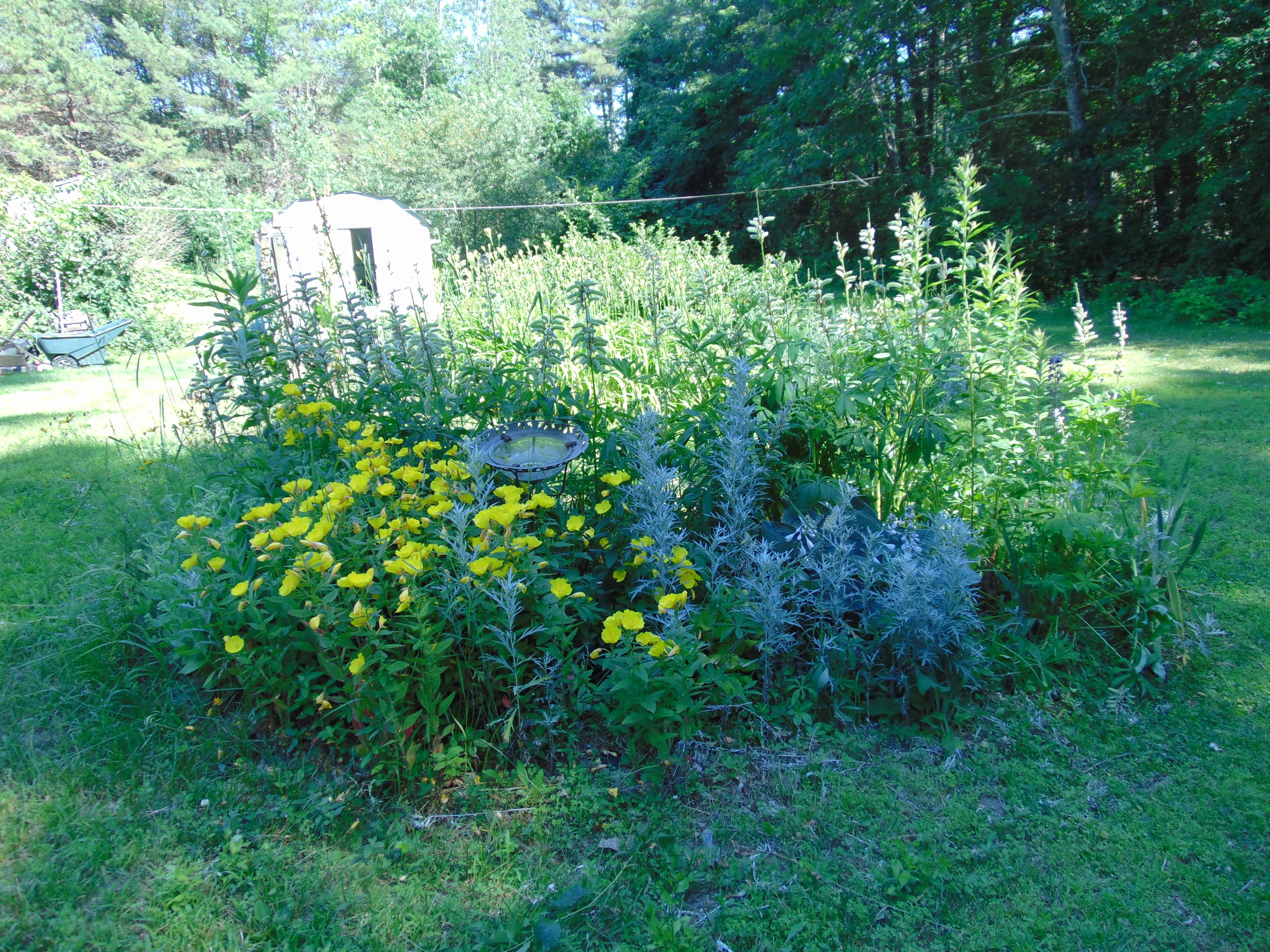 84 Bay Bridge Road Brunswick, ME 04011 - Photo 4 of 19 DSC01194