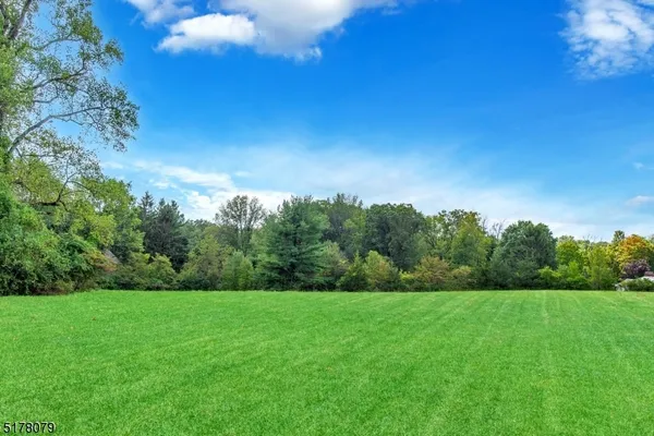 a view of a big yard with a large tree